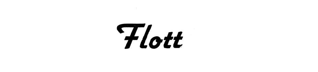 Flott image