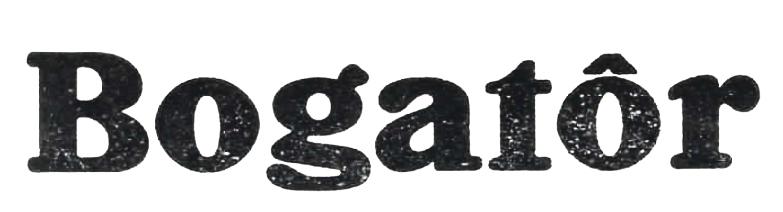 Bogatõr image