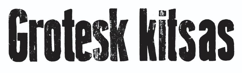 Grotesk Narrow (DIY) image