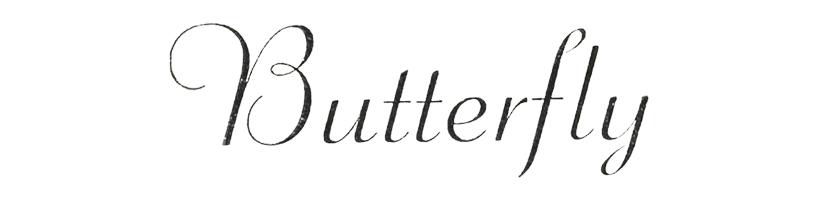 Butterfly image